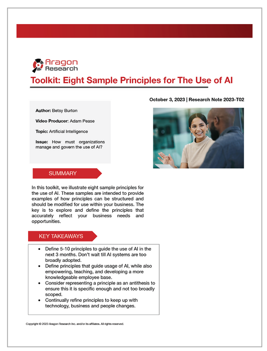 2023-T02 Toolkit-Eight Sample Principles for The Use of AI