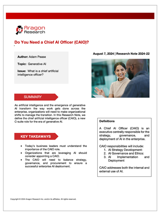2024-22 Do You Need a Chief AI Officer (CAIO)?